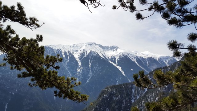 20190309_122724-2.jpg