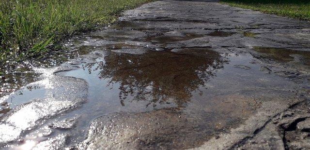 20191009_085703-b.jpg