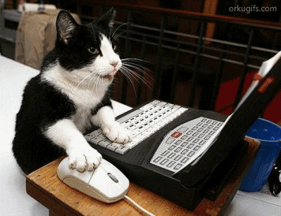 images.duckduckgo.gif