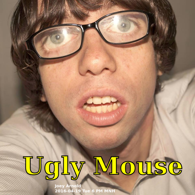 mouse