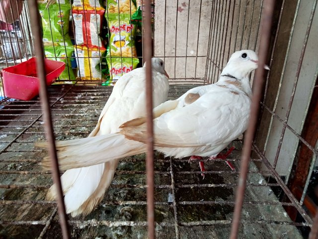 IMG20231022132447.jpg