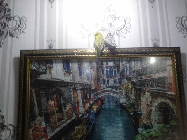 IMG20220108212409.jpg