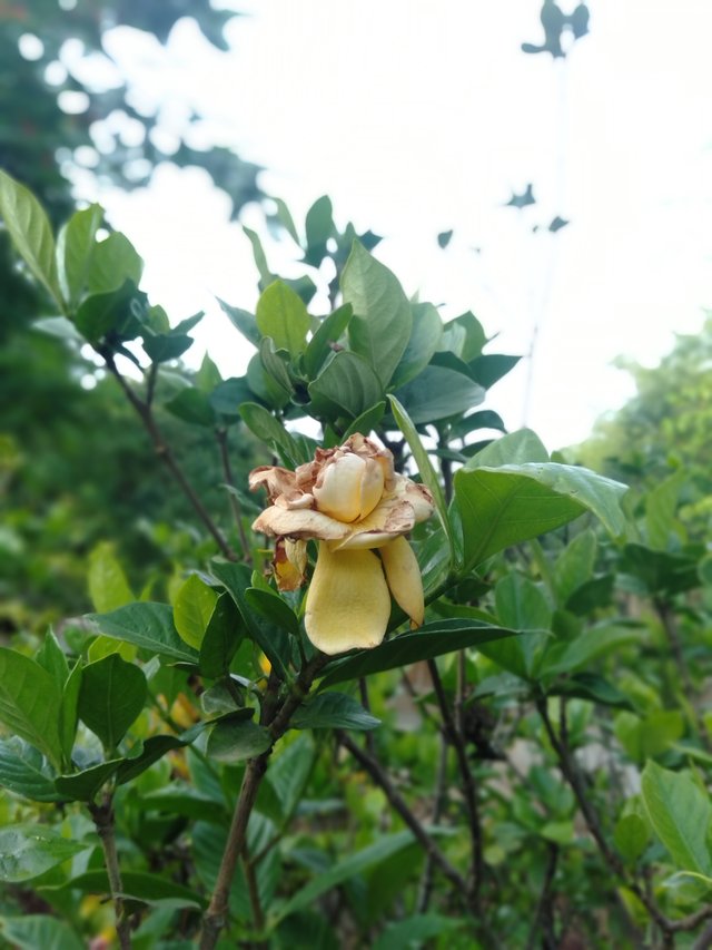 IMG20200528173651.jpg