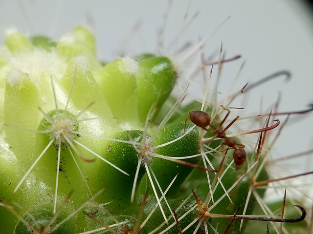 IMG20200909152119.jpg
