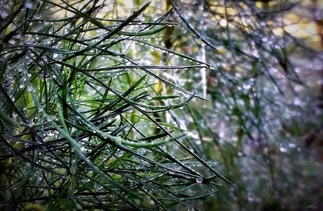 20191009_083946-b.jpg