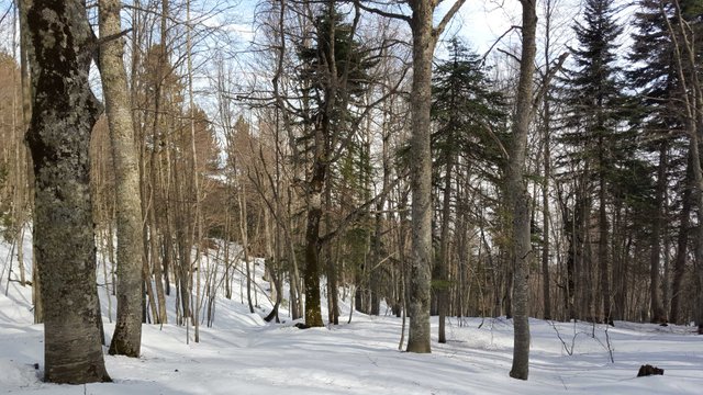 20190309_110811-2.jpg
