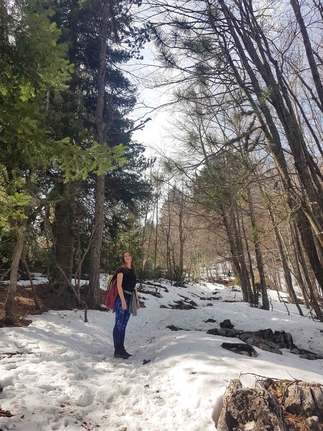 20190309_105733-2.jpg