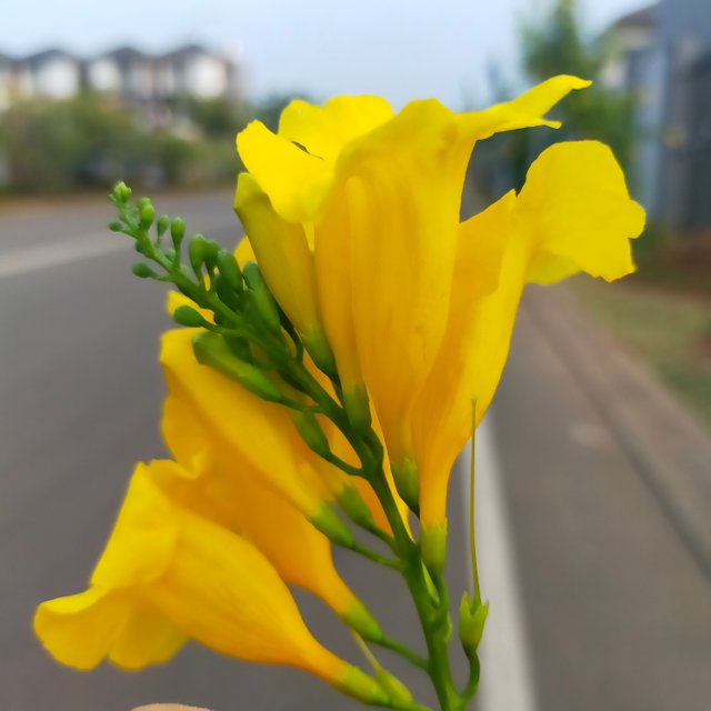 IMG20230803163014.jpg