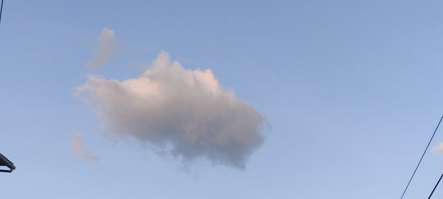 IMG20220303054457.jpg