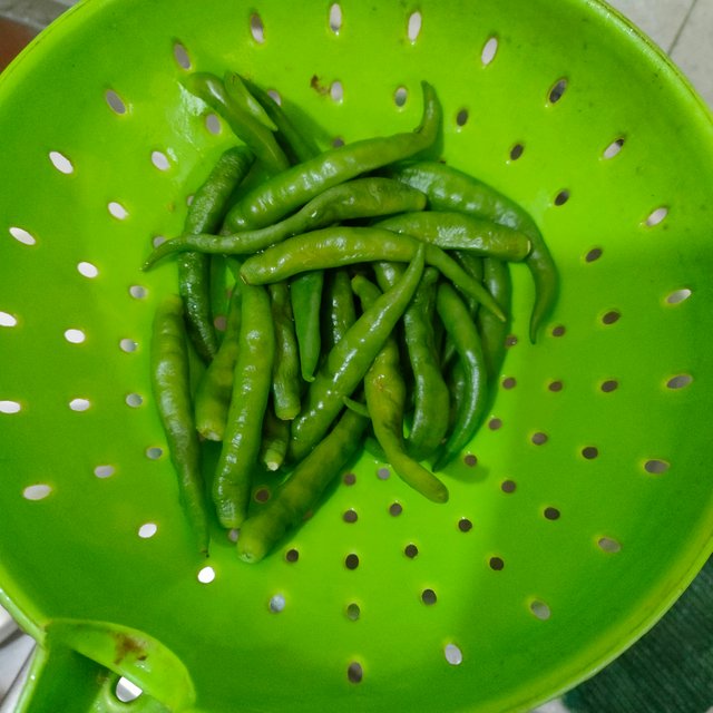 IMG20221025093549.jpg