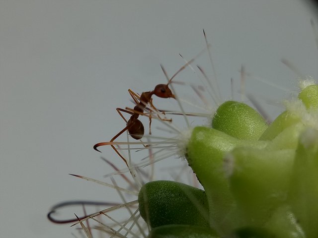 IMG20200909152210.jpg