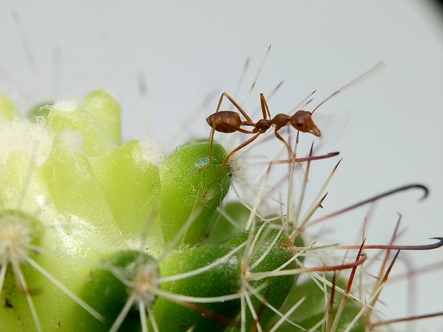 IMG20200909152142.jpg