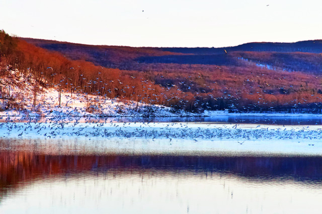 landscape03202018.jpg