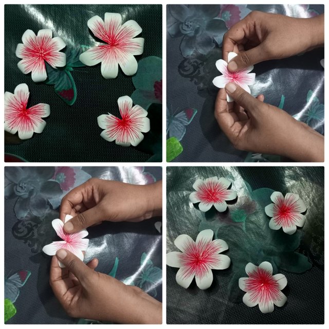IMG_1660922553687.jpg