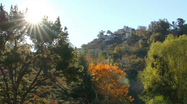 Img0180322-040842.jpg