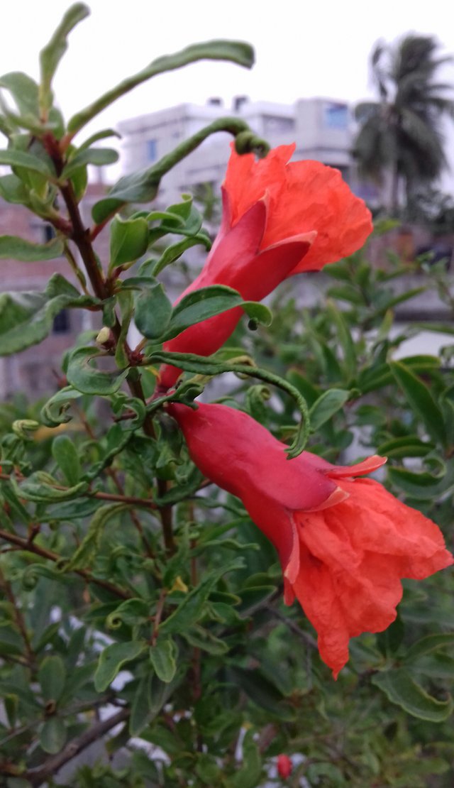 20180523_182847-1.jpg