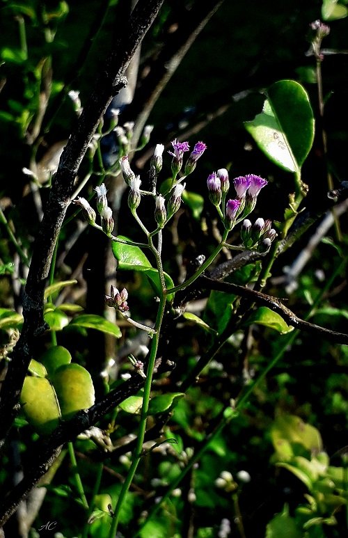 20191009_085555-b.jpg