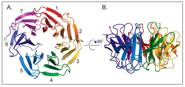 jcm-07-00021-g001.png