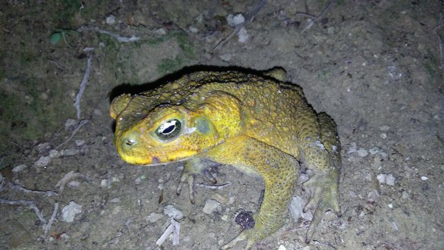P_20180528_201859.jpg