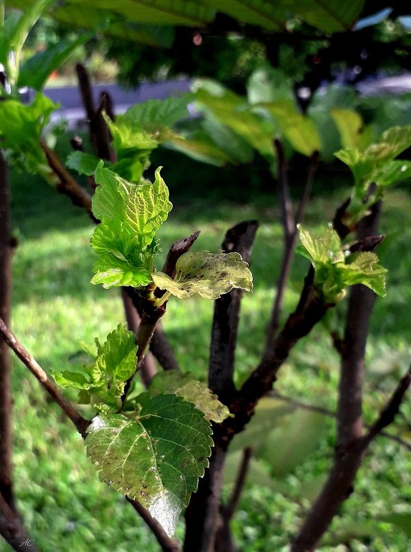 20191009_085852-b.jpg