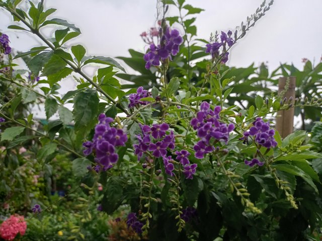 IMG20230621174810.jpg