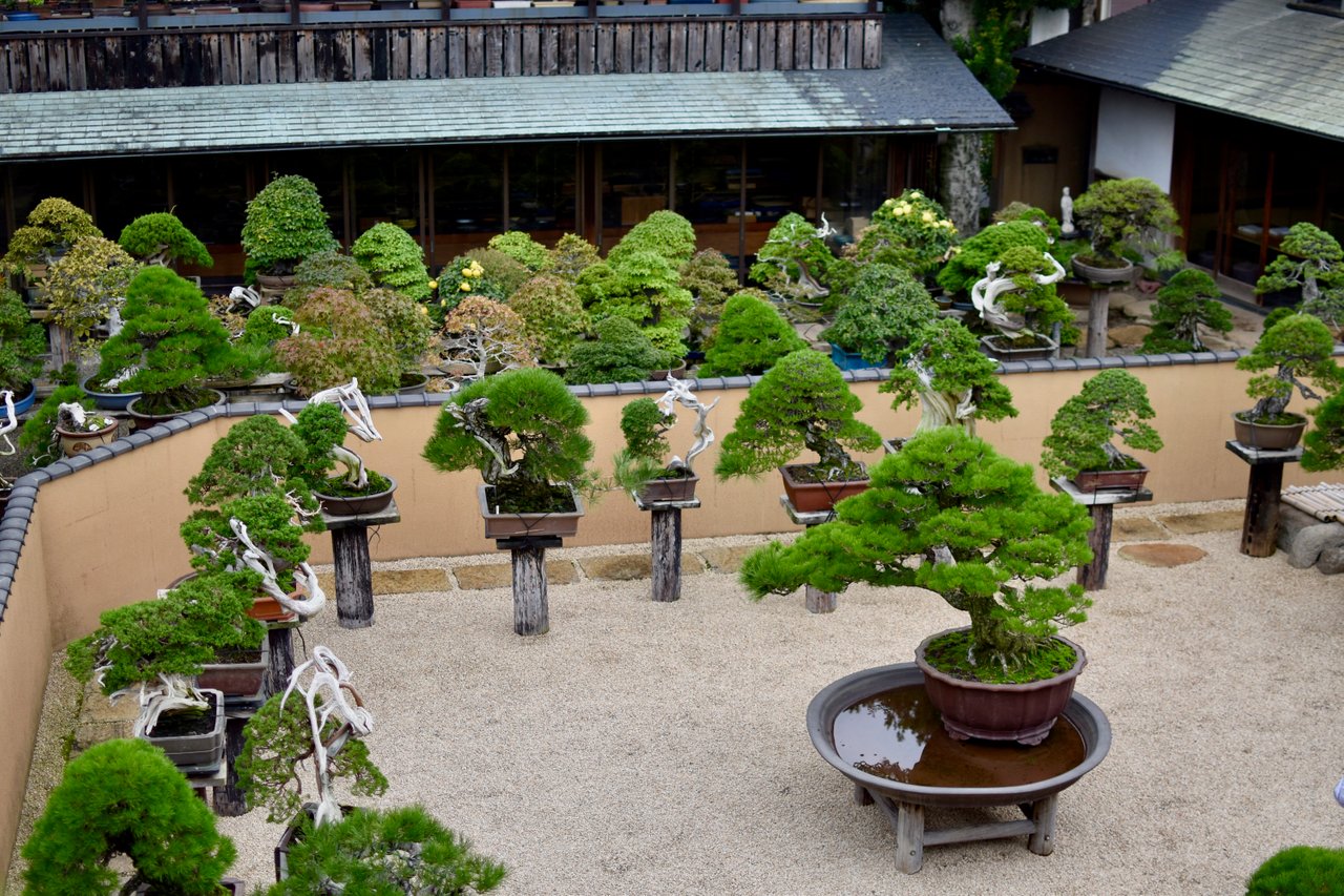 Бонсай сад Кобаяши