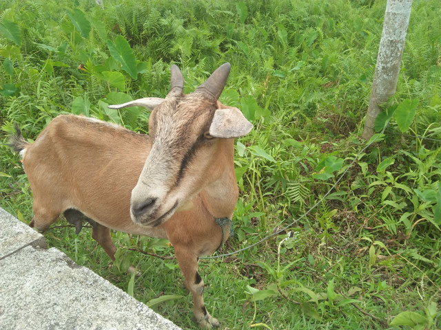 IMG20180113141014.jpg