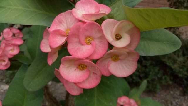 IMG20200402141640.jpg
