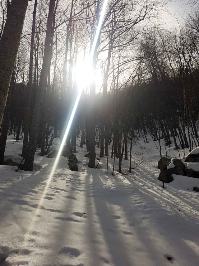 20190309_113002-2.jpg
