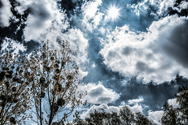 DSC_7674-3-4-2-WE.png