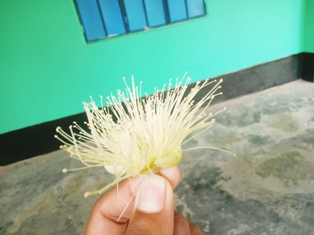 IMG20240127092112.jpg