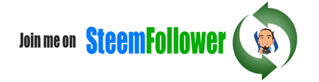 steemfollower_row.png
