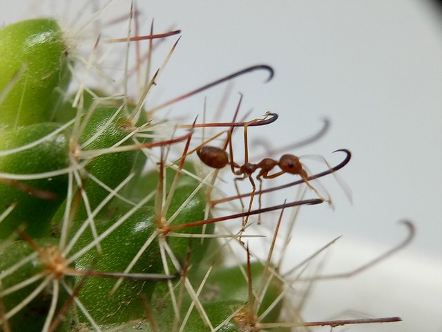 IMG20200909152146.jpg
