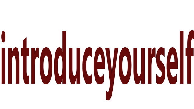 Untitled-1 copy.png