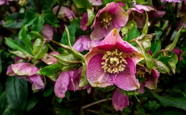 _DSC2895-HDR-Edit.JPG