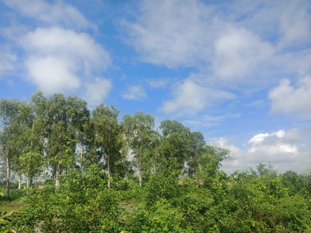 IMG20200824091721.jpg