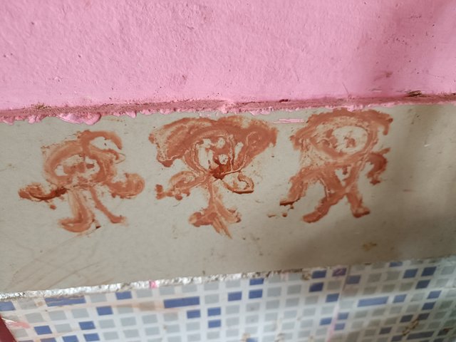 IMG20231123143105.jpg