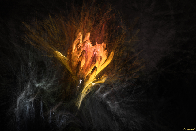 DSC_4429-CHI-3-ST.png