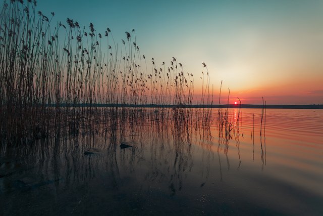 Curonian-Calmness.jpg