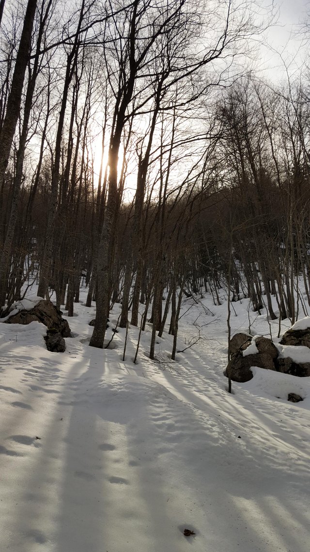 20190309_112934-2.jpg