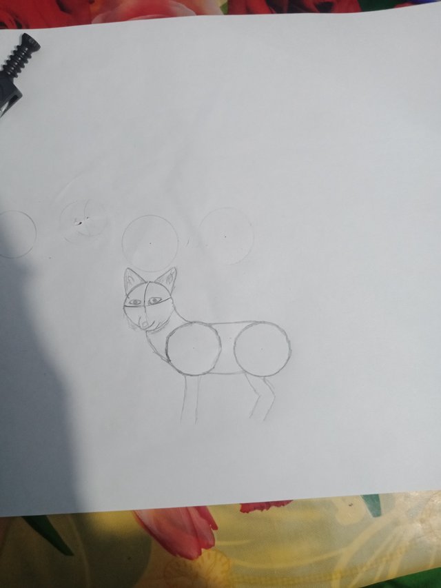 IMG20211013173207.jpg