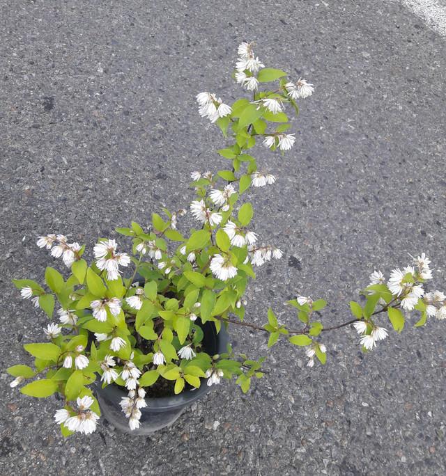 20170530_172338-1.jpg