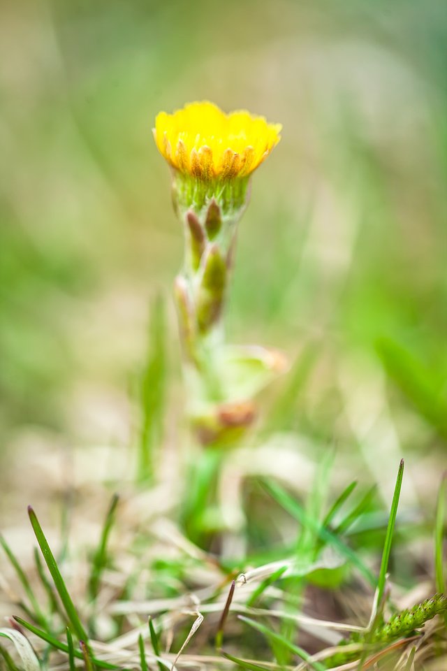2022-apr-4910w-s1.jpg