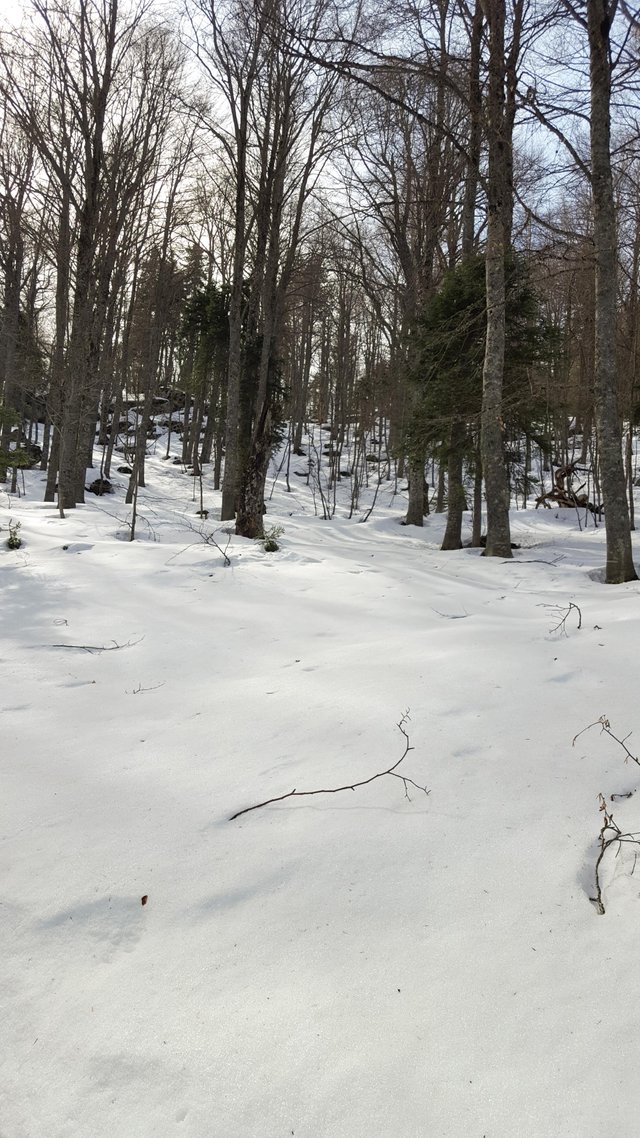20190309_110807-2.jpg