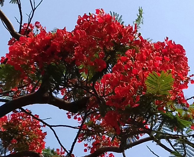 20180427_084114-1.jpg