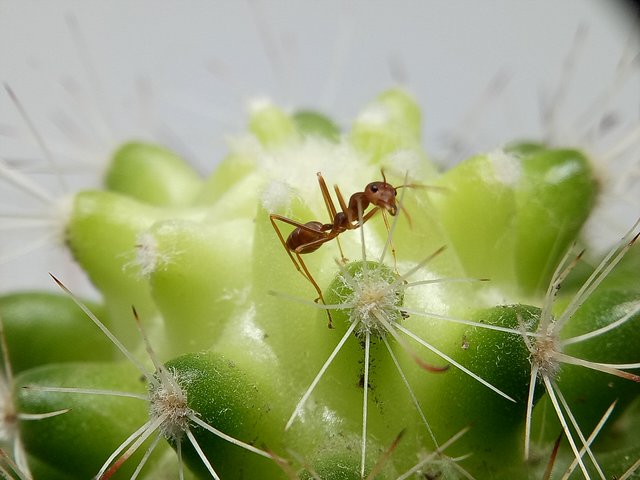 IMG20200909152117.jpg