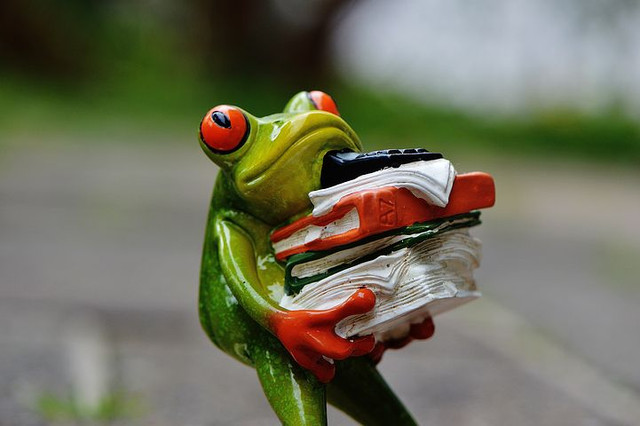 frog-1339894__480.jpg