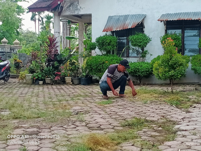 IMG20260605085333.jpg