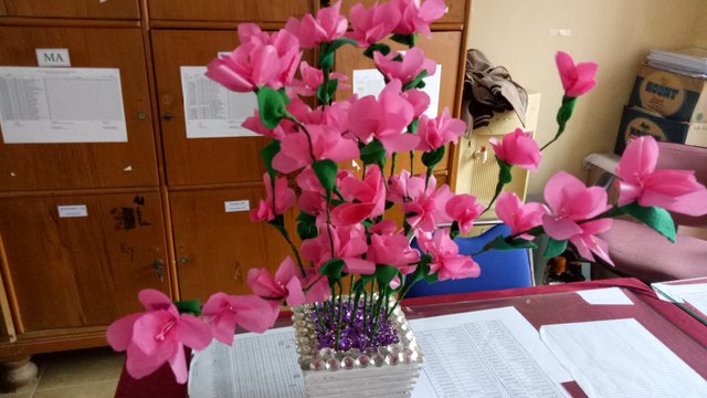 IMG20190905100859.jpg