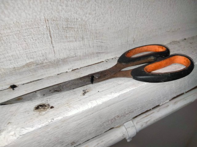 IMG20220430215243.jpg